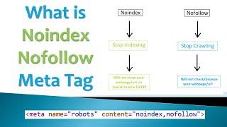 What is Noindex Nofollow Meta Tag in SEO | A Complete Guide