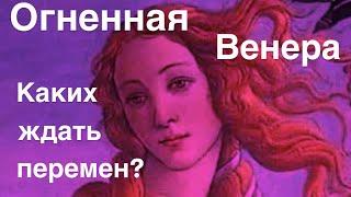 Огненная Венера️️️ каких ждать перемен?🫶