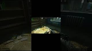 доки • Escape from Tarkov #shorts