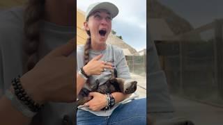 Our #Animals Understand Everything! Come See For yourself! Book now at AnimalEDventures.com