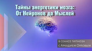 Тайны энергетики мозга: от Нейронов до Мыслей