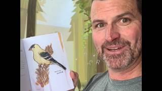 The American Goldfink: A reading from The Field Guide to Dumb Birds of North America by Matt Kracht