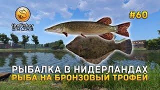 Рыбалка в Нидерландах. Рыба на Бронзовый трофей - Fisher Online #60