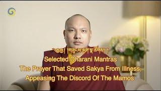 Karmapa Chants - Mantras/Prayer that Saved Sakya/Appeasing the Discord of the Mamo