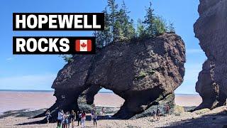 BAY OF FUNDY IN NEW BRUNSWICK | Low Tides at Hopewell Rocks Provincial Park