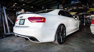 Audi RS5 AWE Exhaust Sound Aggressive (REVS, Acceleration, Downshifts) + Tune