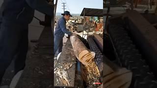 Professional Wood Peeling Process | Essential Woodworking Step