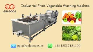 GELGOOG® Fruit Vegetable Washing Machine Commercial Vegetable Cleaning