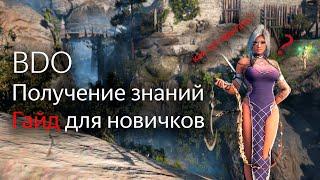 BDO ГАЙД ДЛЯ НОВИЧКОВ 2021 | Получение знаний в Black Desert Online