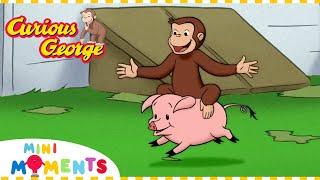 George the Farmer! ‍ | Curious George | 1 Hour Compilation | Mini Moments