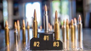 Most Popular Rifle Cartridges on the Market