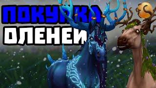 ПОКУПКА ОЛЕНЕЙ | НОВЫЕ ЛУЧШИЕ МАГИЧЕСКИЕ ЛОШАДИ | Star Stable