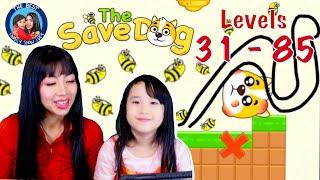 Save the Dog walkthrough Level 31 to 85.  Funny game with a lot of brain power!