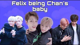 Chan looking after Felix (moments)