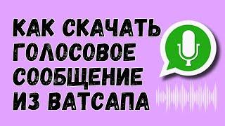 Как Скачать Голосовое Сообщение Из Ватсапа [подробная инструкция]