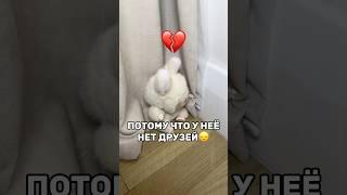 ЛАБУБУ ГРУСТИТ КВИНКА ПРИДУМАЛА РЕШЕНИЕ НО смотрите до конца роблокс игры смешное квинка