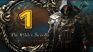 Прохождение The Elder Scrolls Online за КАДЖИТА ЛУЧНИКА #1 (Побег из ада)