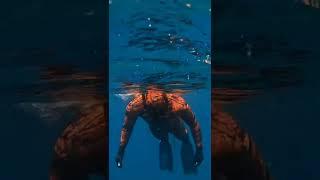 New Spot For Underwear Spearfishing Ep-18 How to Fish #spearfishing #shorts #fishing #spearo #pescar