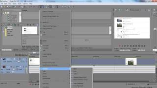 remove sound from video using sony vegas pro