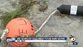 New technology could predict future shark sightings