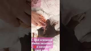 любимая игрушка #люблюживотных #love #animals #doglover #собаки #собака