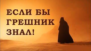 Если бы грешник знал это, то никогда не потерял бы надежду! Шейх Халид Рашид