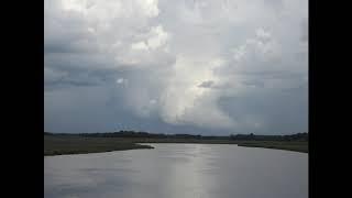 SPRINGFIELD MARSH AND THE ACE BASIN