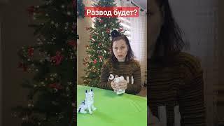 Будет ли развод? #расклад #предсказание #чтождет #картадня #отношения