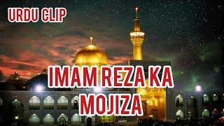 Imam Reza (A.s.) Ka Mojiza ( Miracle of Imam reza) Brother Hasnain Ali Qom