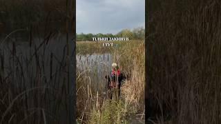 Неочікувана  #риболовля #риболов #fishing #рибалка #рибалкавукраїні #щука #клювання #снасті