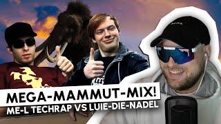 VBT Allstars! ME-L TECHRAP vs LUIE-DIE-NADEL - VBT 2013 Viertel | REACTION