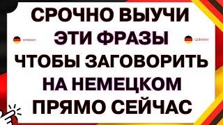 ВЫУЧИ эти 100 Самых Простых Фраз на Немецком, Чтобы Начать Говорить Уже Сейчас! Немецкий язык с нуля