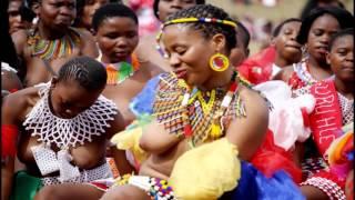 Virginity Test Dance: South Africa Zulu Tribe   Festival