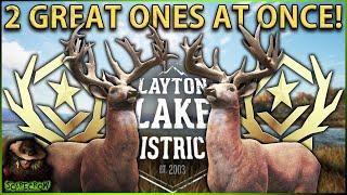 2 GREAT ONES AT ONCE! Hunting 2 Great One Whitetail Deer BACK TO BACK! Call of the wild