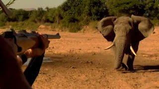 African  Elephant hunting | Top kill shot Compilation ultimate Elephant hunting | Killing Elephant