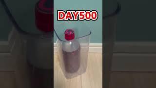 Daily Bottle Flip Challenge day 1002 | GENN.