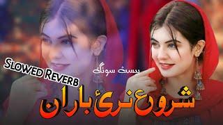 Shero Naray Baran| Official Video|PASHTO NEW SONG 2025|ATTAN SONG 2025 |TIKTOK OFFICIAL VIDEO NORA