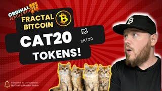 Cat20 Tokens on Fractal are poised to be the next 100X opportunity