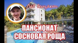 Официальный канал пансионата Сосновая роща, Пицунда, Абхазия