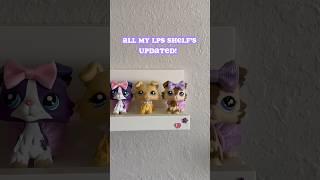 My Lps shelf’s updated! 🫧 #littlestpetshop #lps #lpscollection