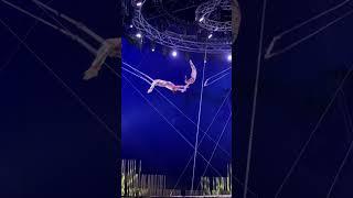Traditional circus trapeze artists are putting on an impressive performance!