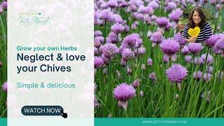 Garden Chives: How to Grow, Prune, Harvest and Use