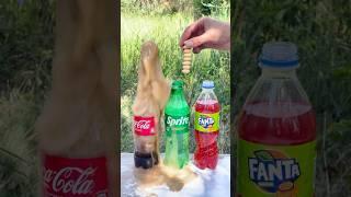 “Mentos in Cola, Fanta and Sprite: Who will explode the hardest?” #experiment #mentos #cola