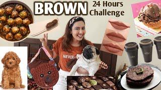 I Used Only BROWN Things For 24 Hours | Most Requested Challenge | (English Subtitles)