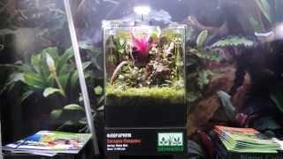 DENNERLE Nano Florarium 20 litres LED 5.0