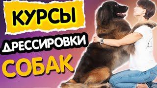 Дрессировка и воспитание собак с Натальей Подобреевой | Pets&People