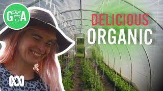 Organic Farm with DELICIOUS Produce | Discovery | Gardening Australia