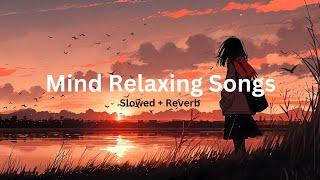 Mind Relaxing Songs | Mind Relax Lofi Songs | Best Lofi Songs 2024 #lofi #trending