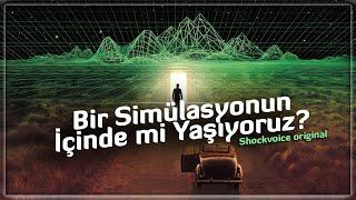 Bir Simülasyonun İçinde mi Yaşıyoruz?