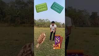 Parle G biscuit to, icecream,catberi& popcorn, Good day, magic video # viral # trending #